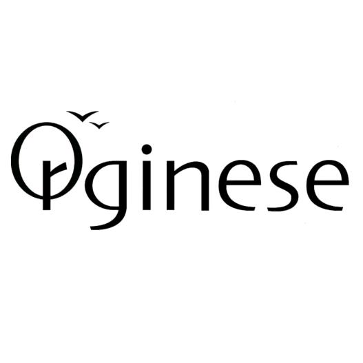 ORGINESE面部保养专场的头像