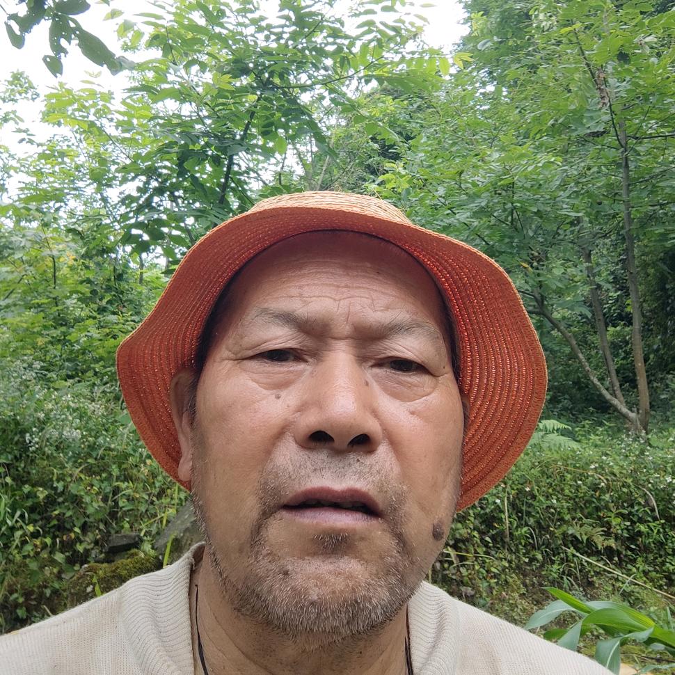 谯爷不爱吃牛肉