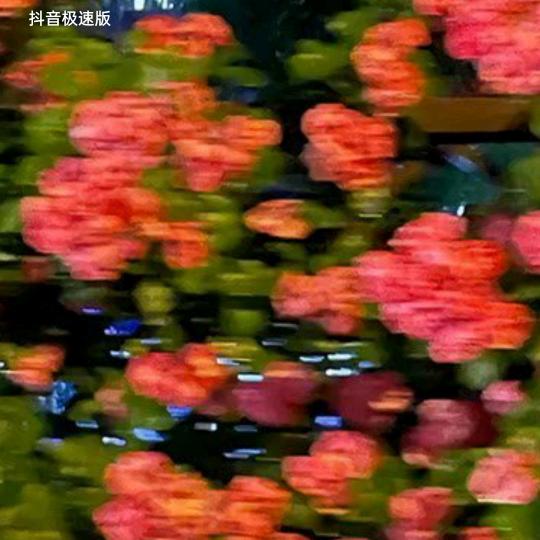 成分复杂