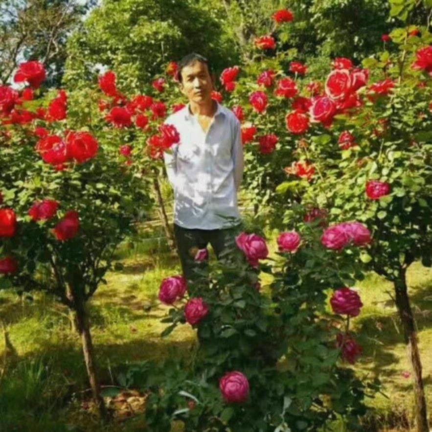 水电改造