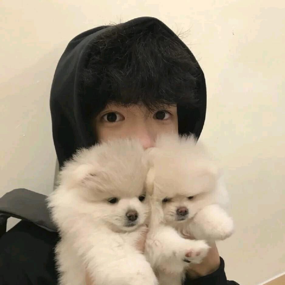 香菜小张