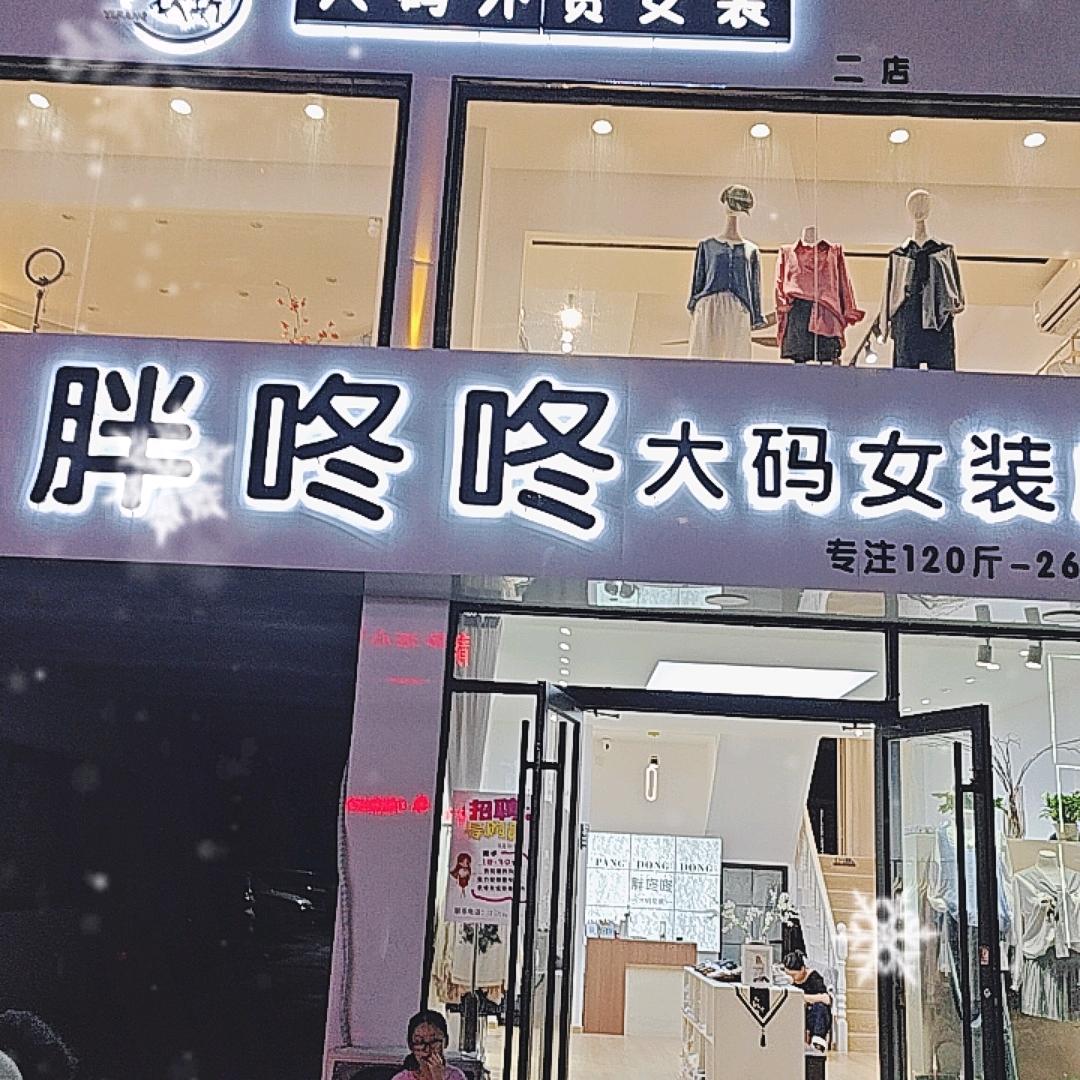 榆林街胖咚咚大码女装店