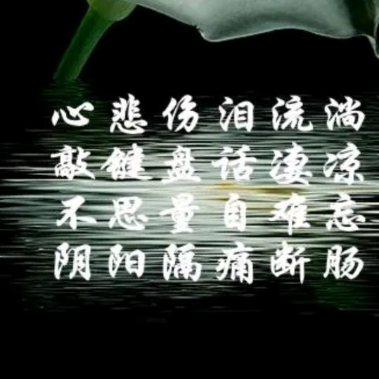 泪落葬相思