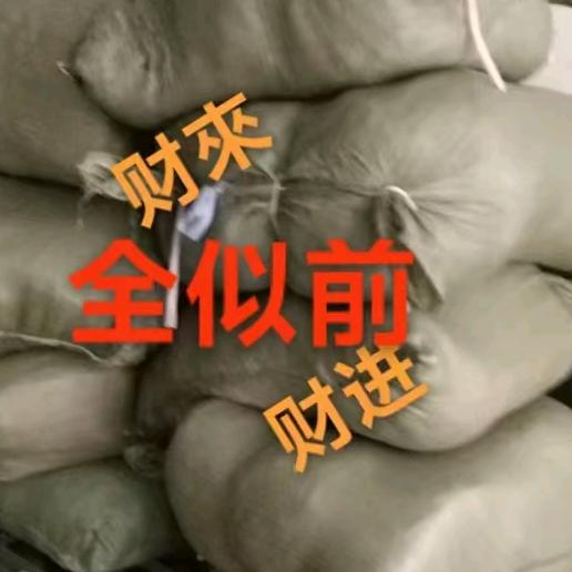 原创