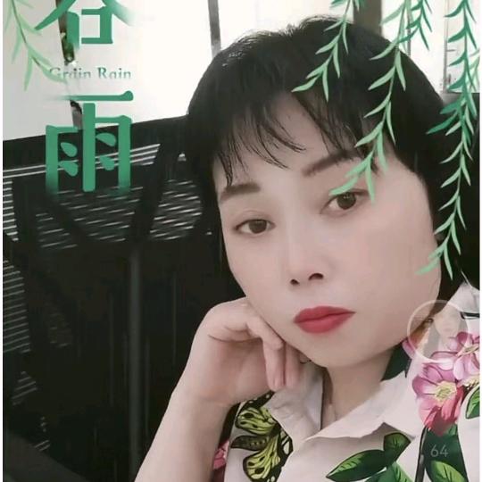 龙群芳
