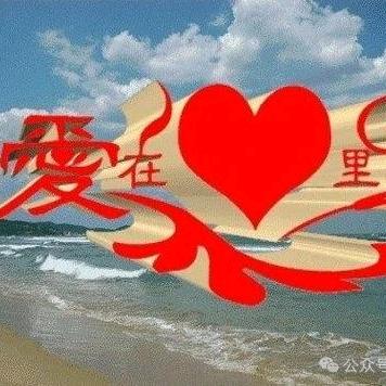 真是服了呀