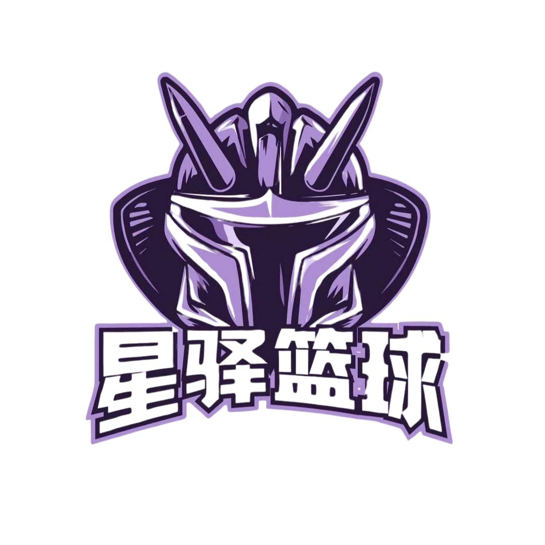 盘锦市大洼区星驿篮球俱乐部部（个体工商户）