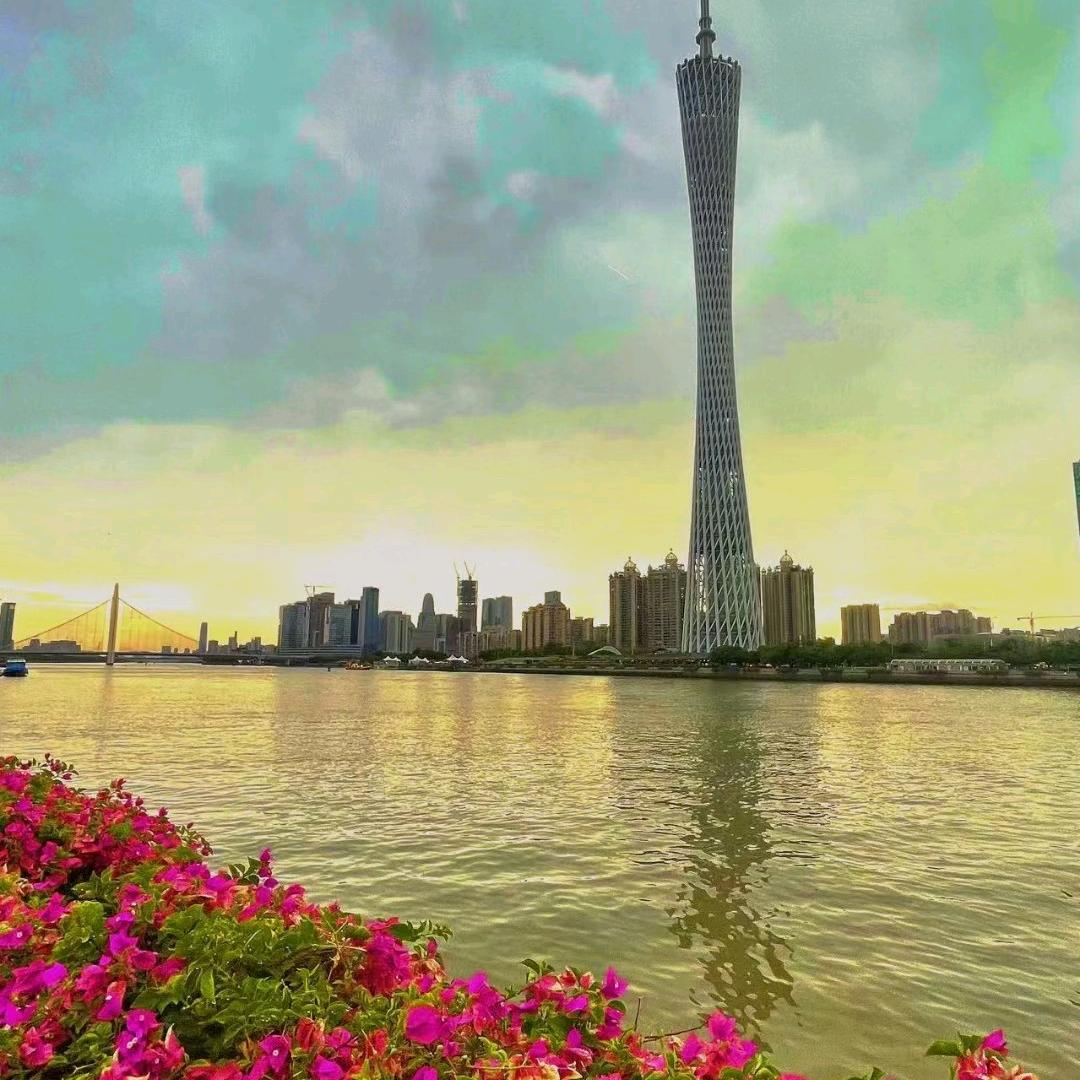 美景