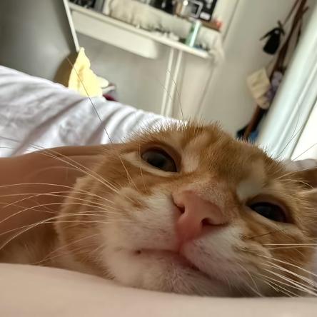 螺蛳粉大王（2.0）