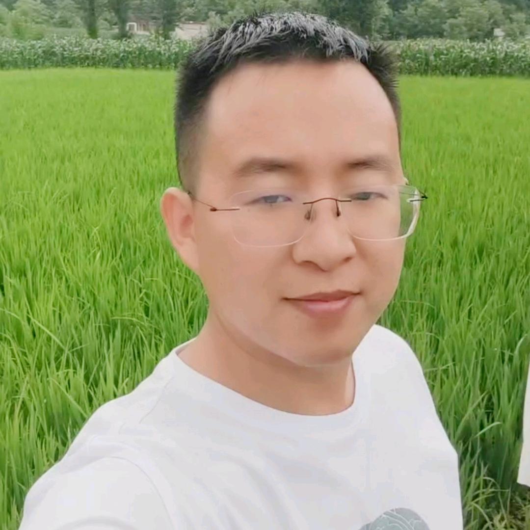 光年枫火营