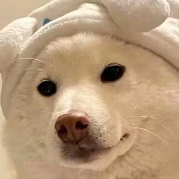 Zhᴗao