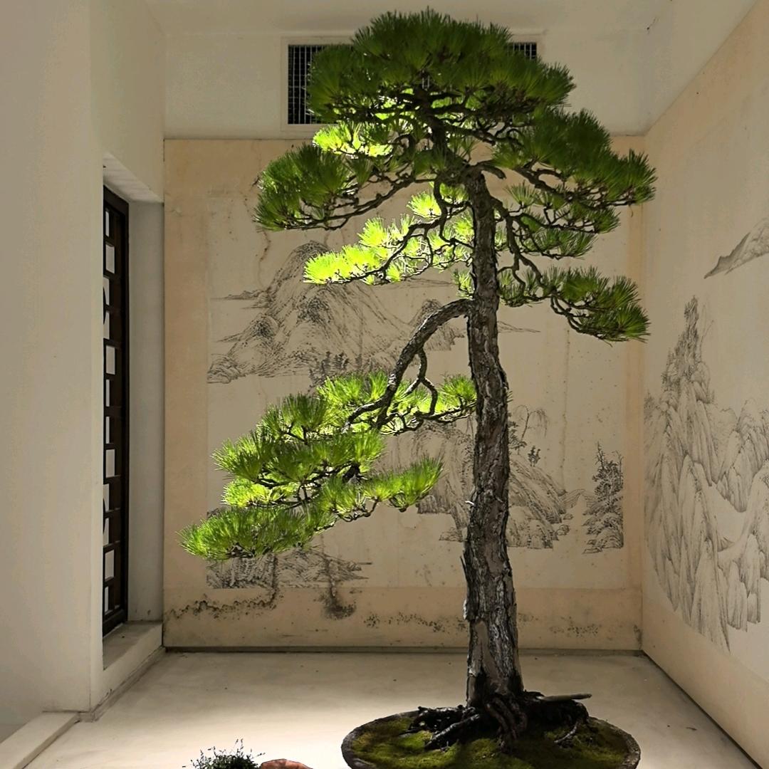 绿乡惠