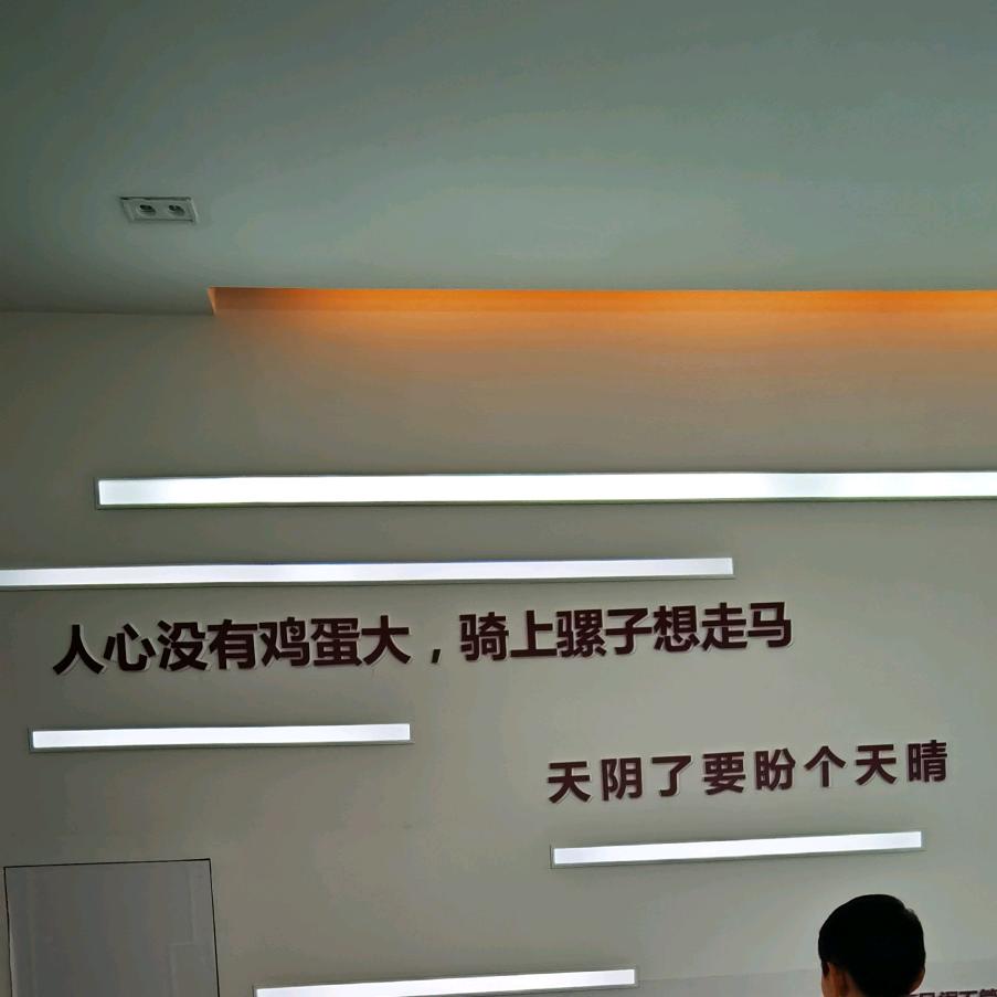 用户1339