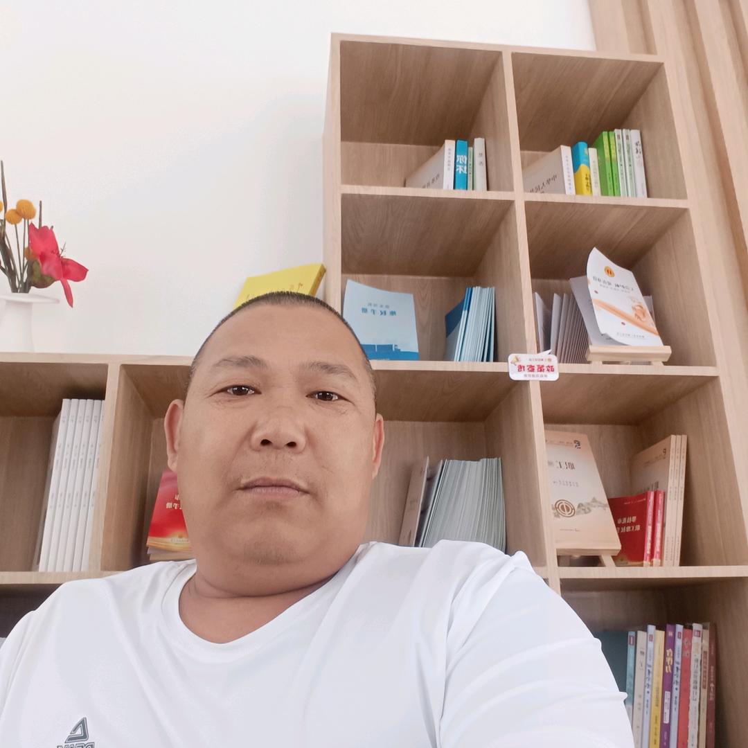 不要再来伤害我