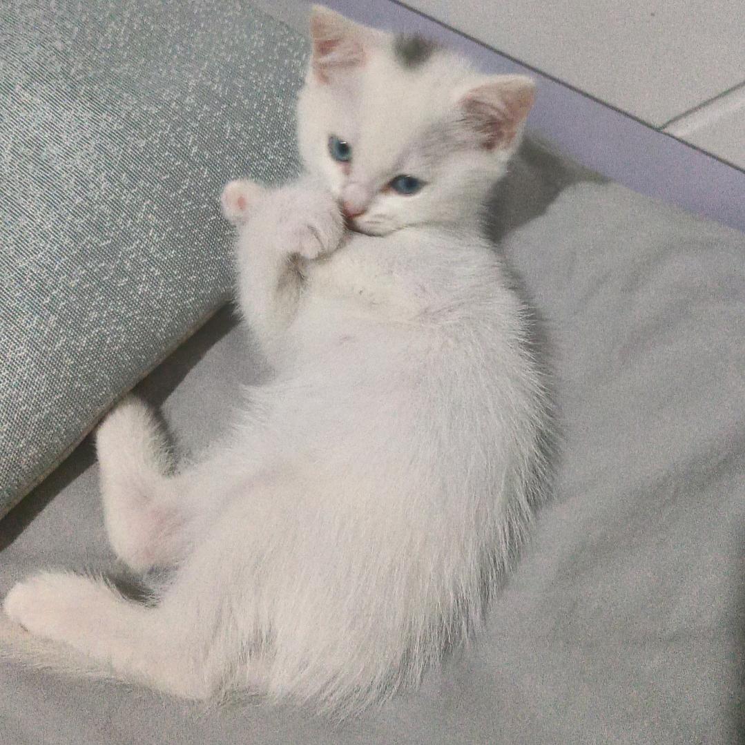 堇钰💞