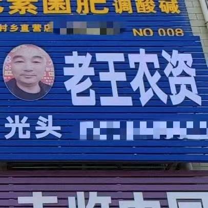 马村光头老王农资