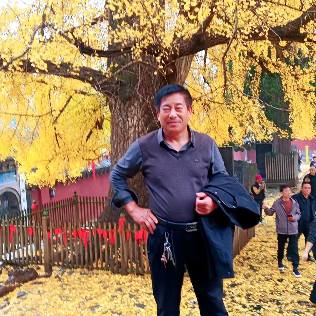 93629719善缘第一