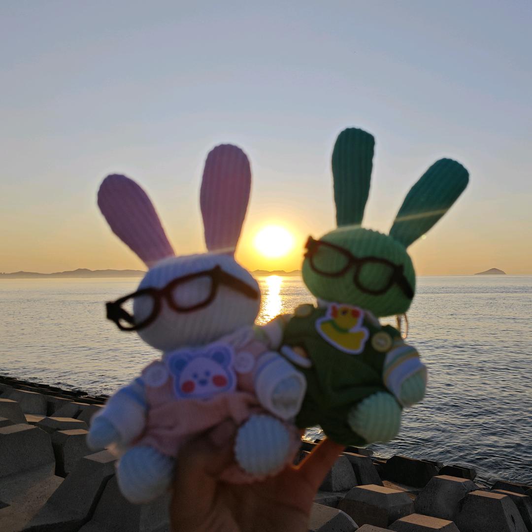 萝卜小圆子