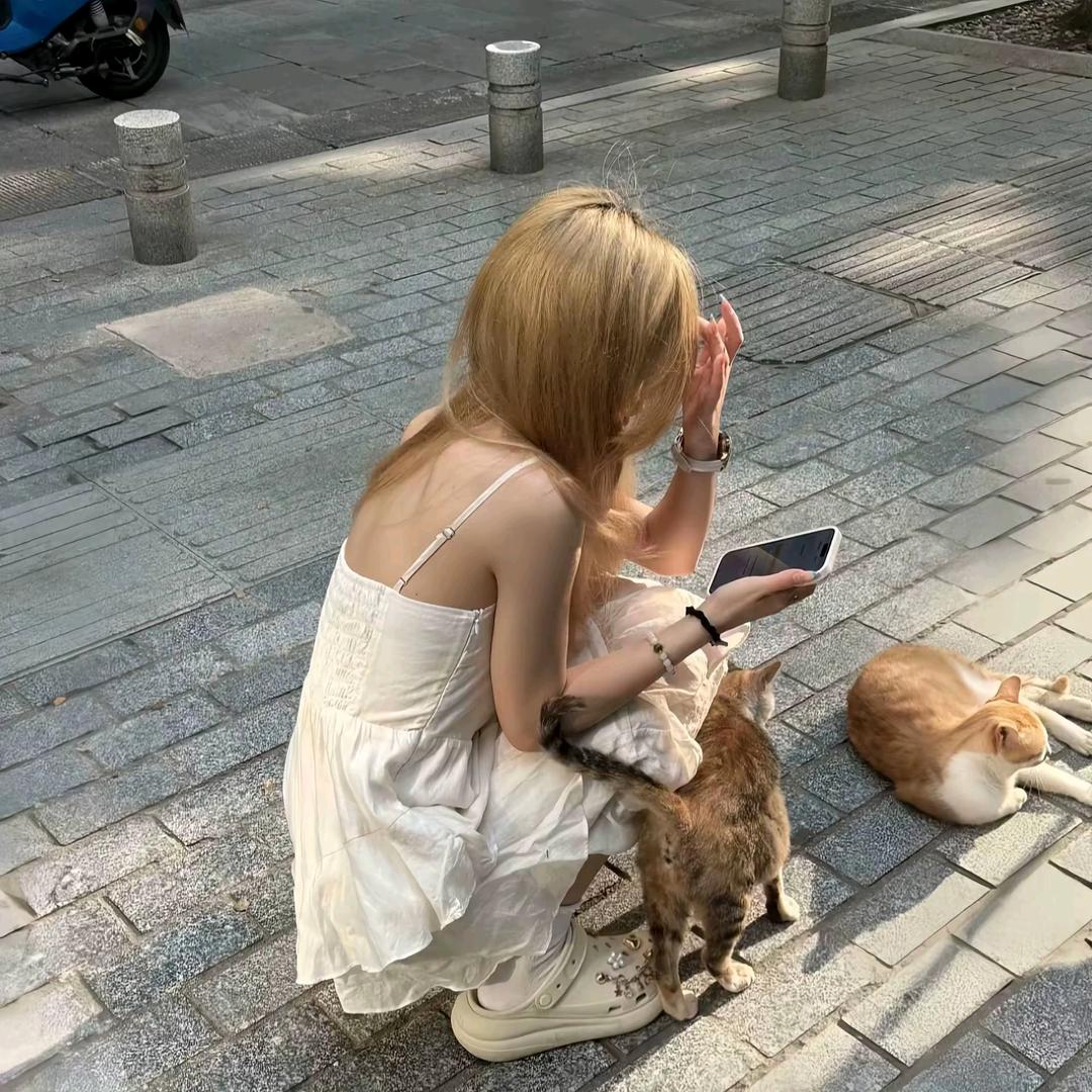 呆萌是罪