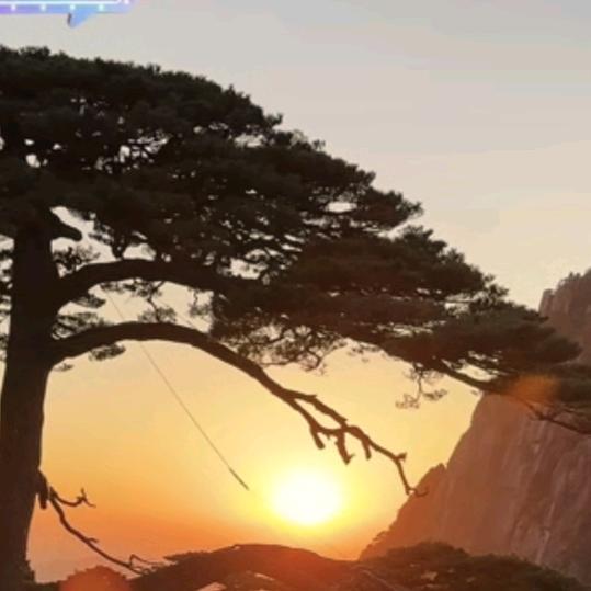 知足常乐1121☀️