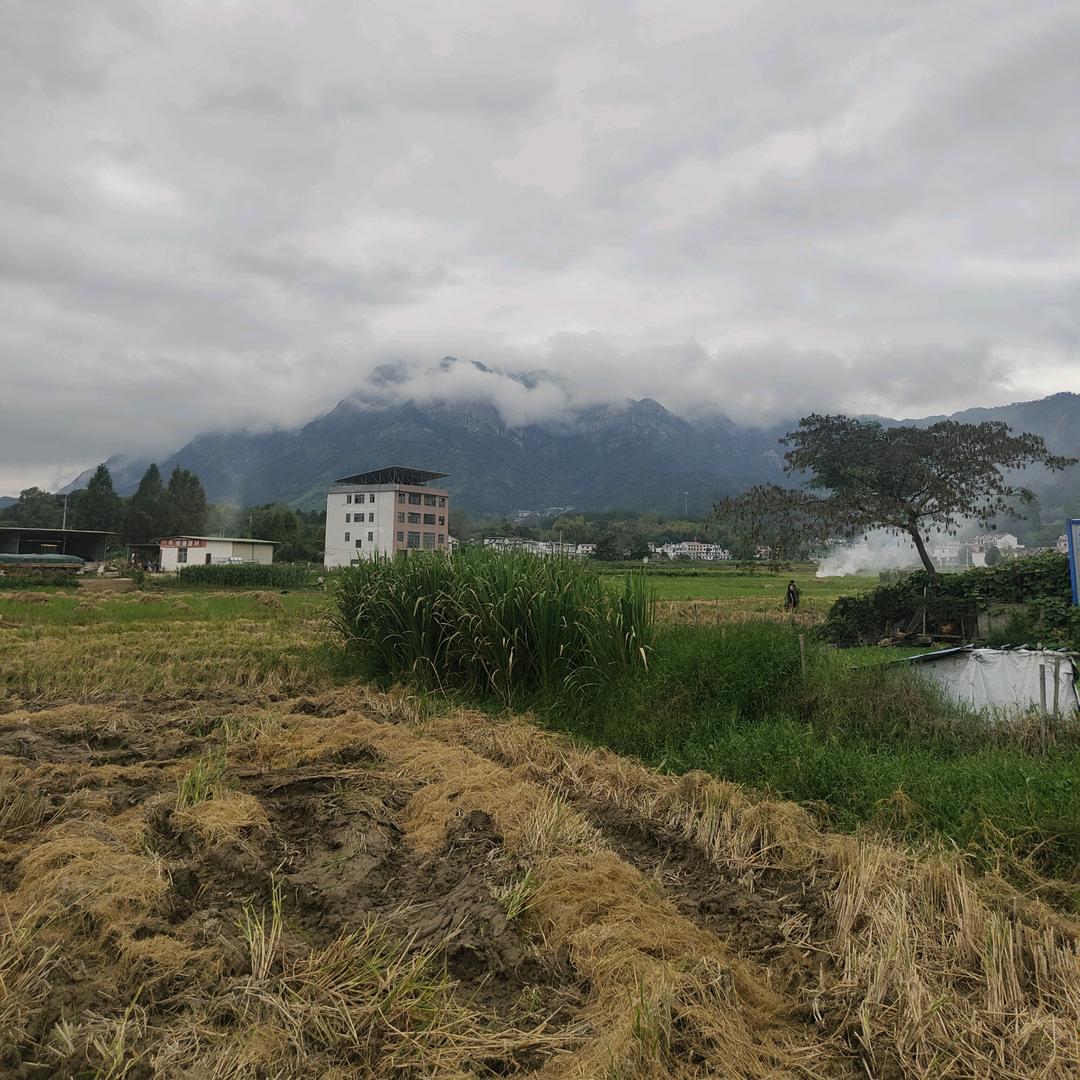江淮张靖华（视频笔记）