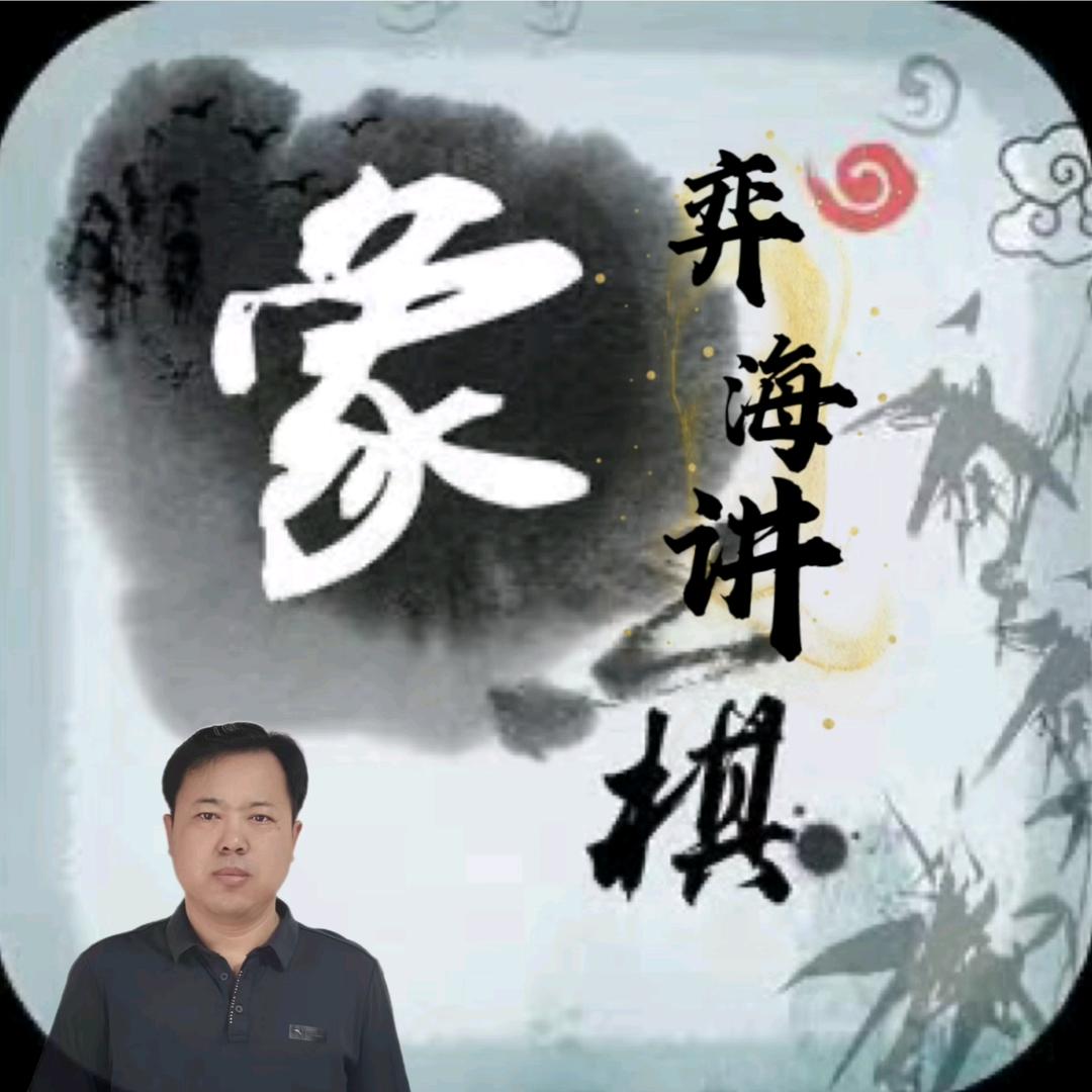 弈海讲棋