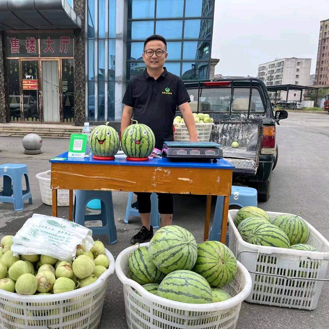 黎坪村书记——杨维雄