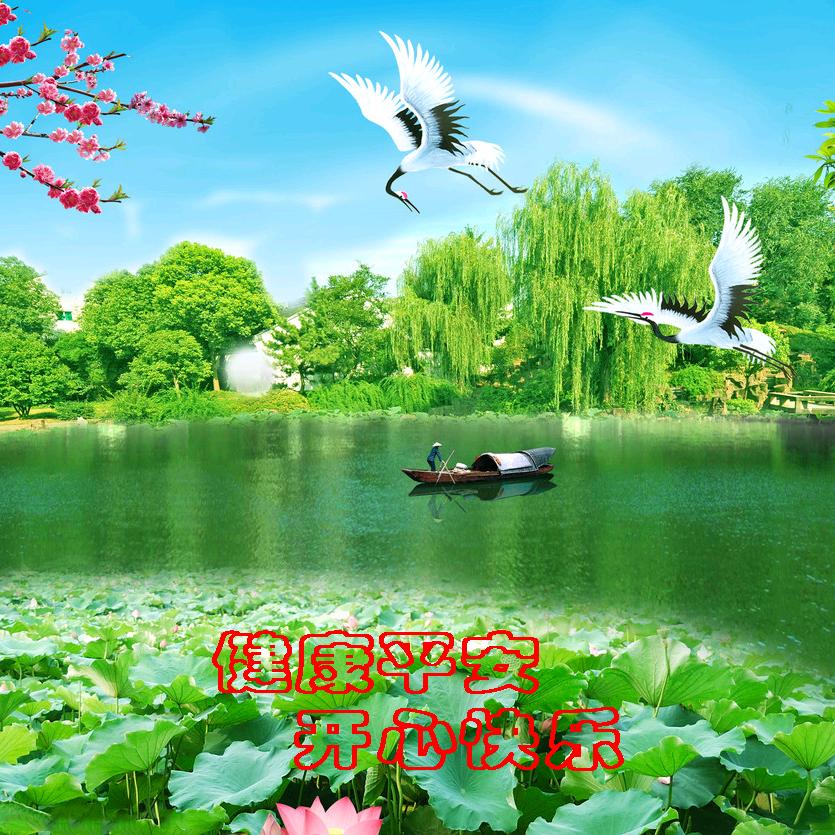 心想•事成