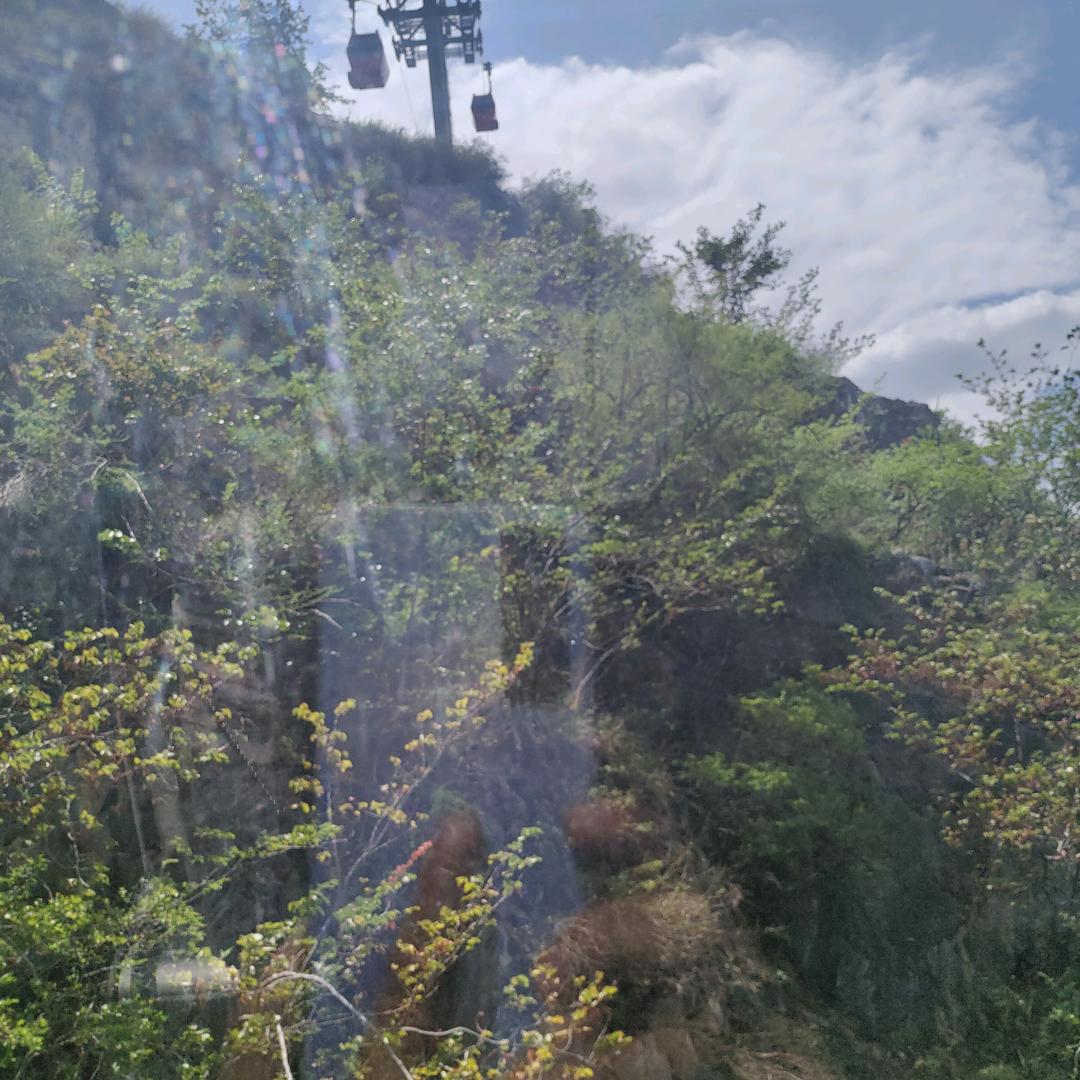 伤心童话