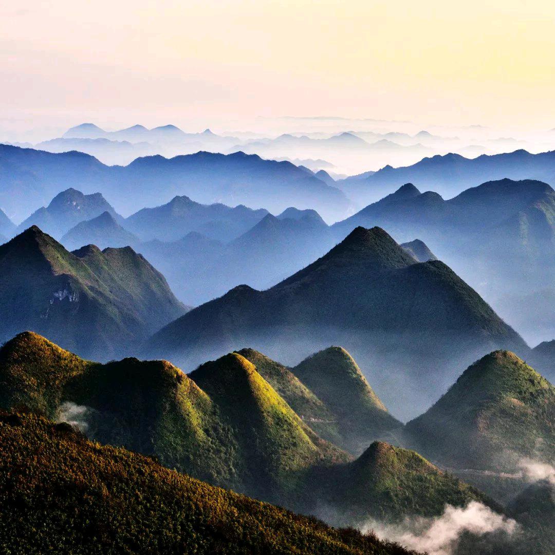 八度得宝酱香刺梨
