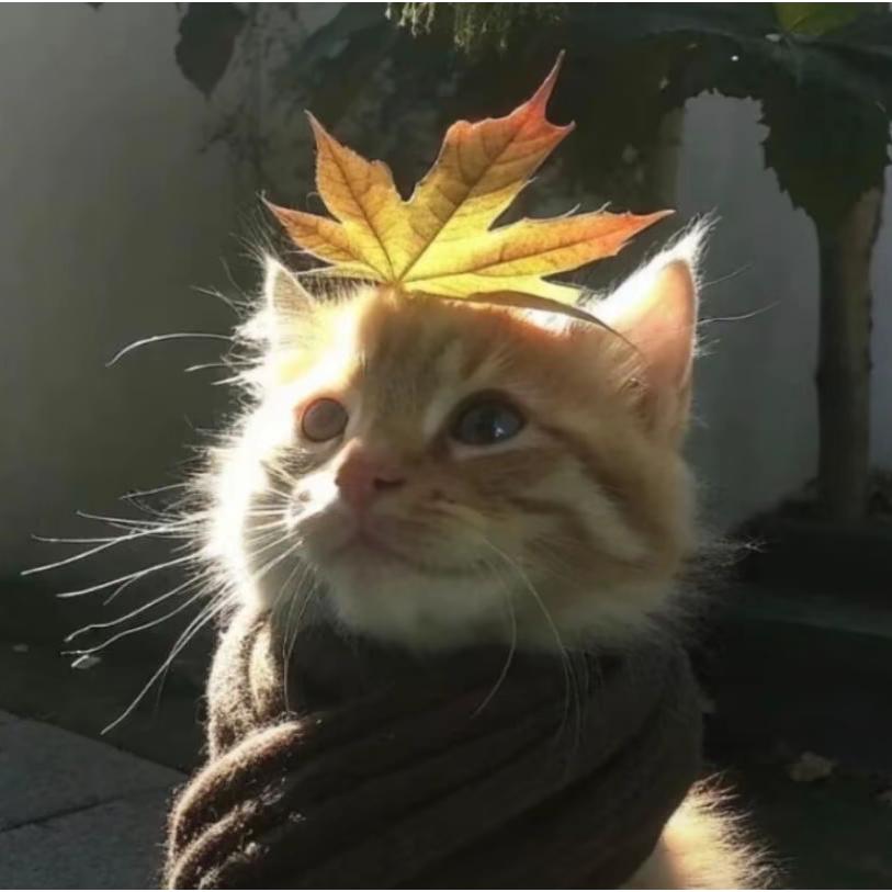 辣条很好吃