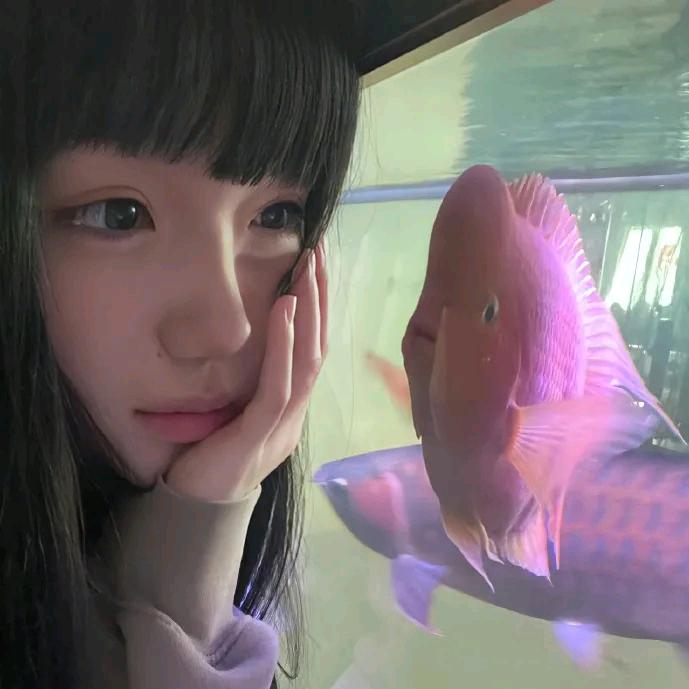 六尺巷