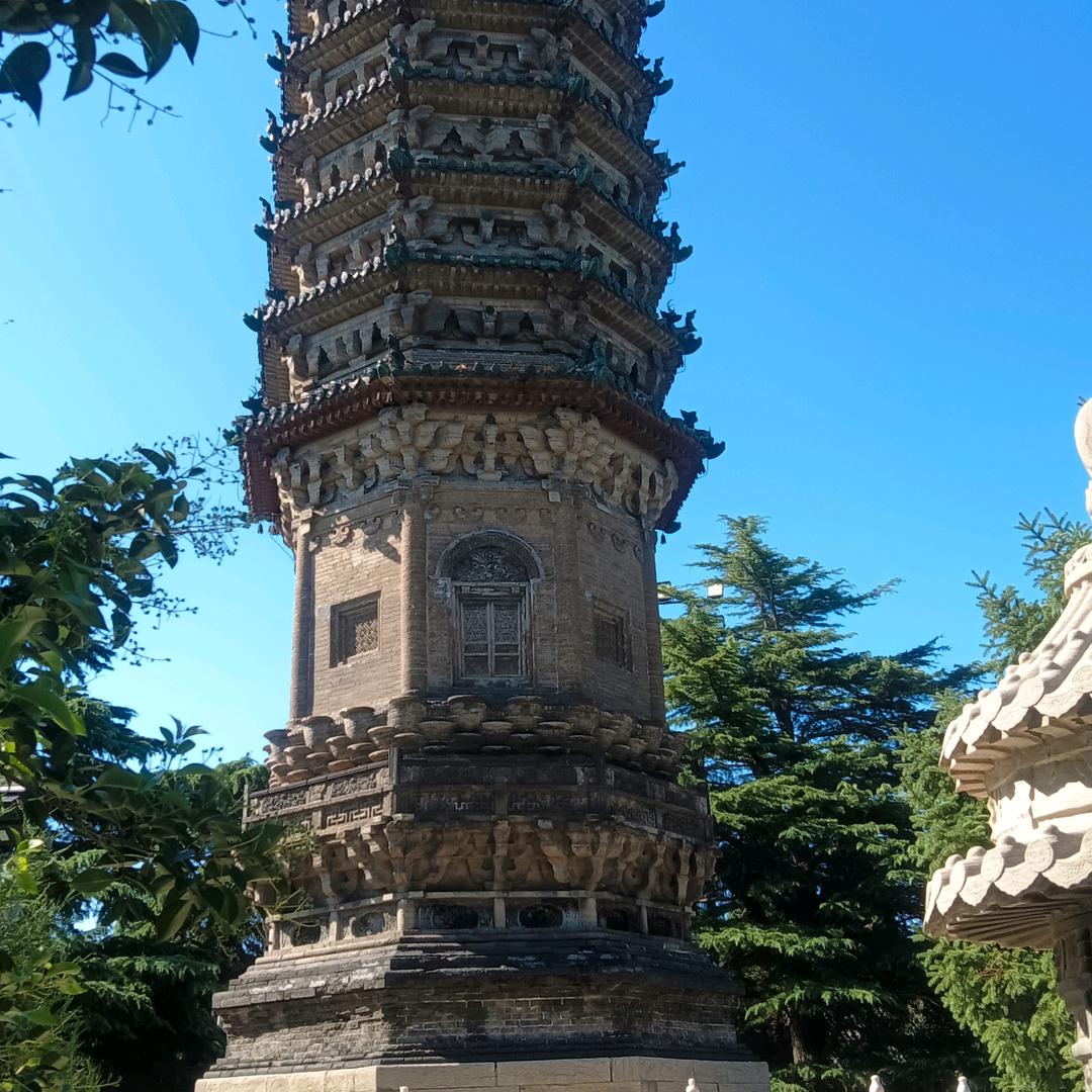 越来会越好i