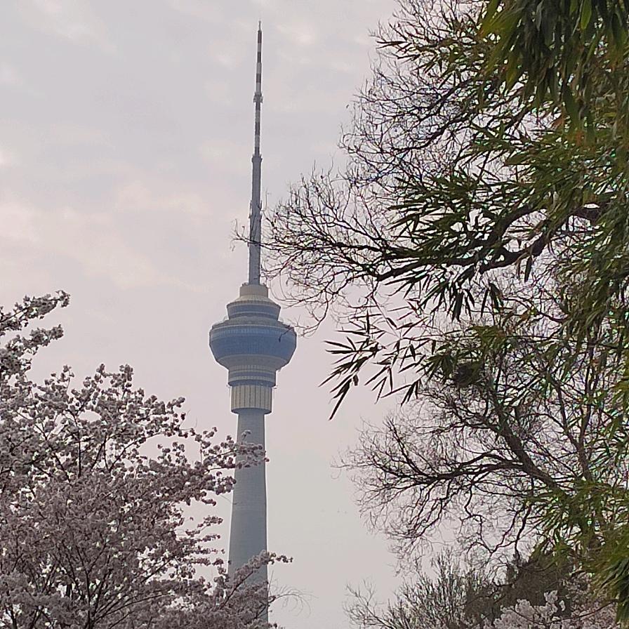 ঞ᭄心凉ᤨ怎暖໌້ᮨ℘࿐…qq麻麻