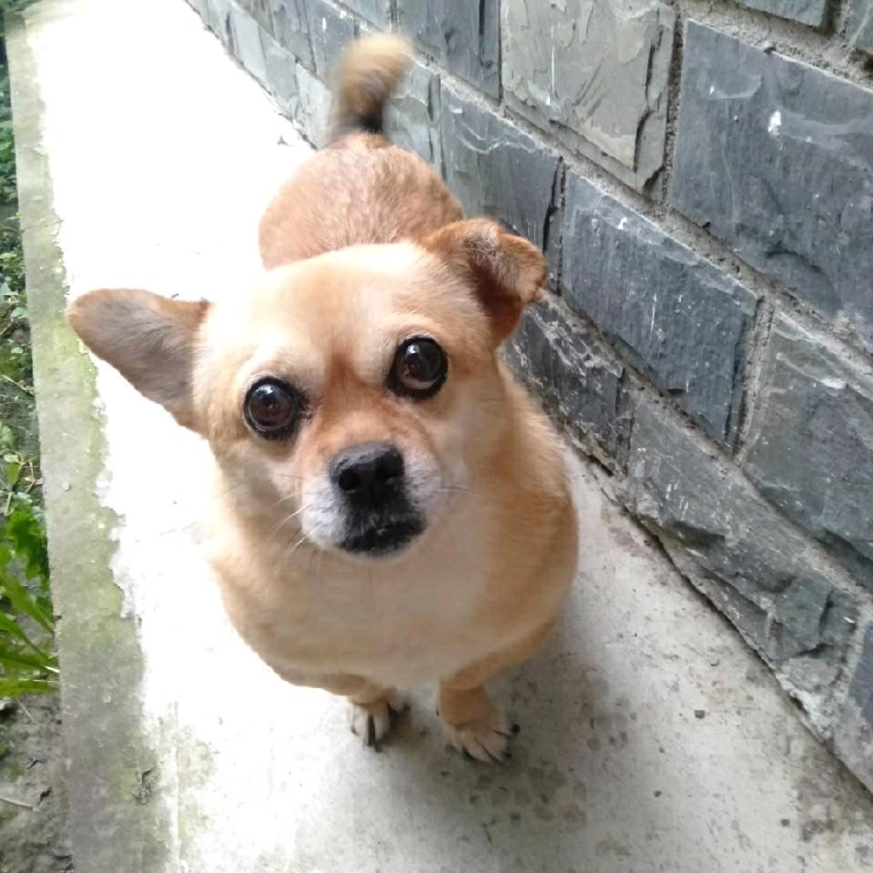 美晨朝霞!