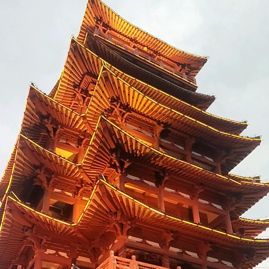 卫东强