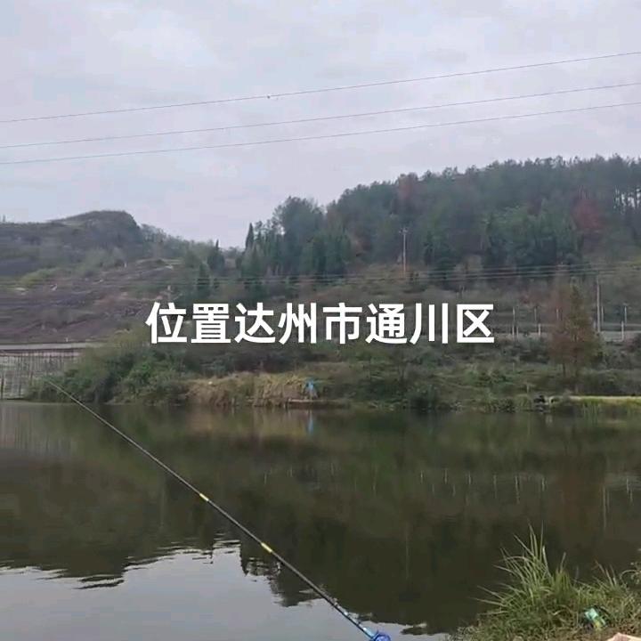 累了谁心痛？