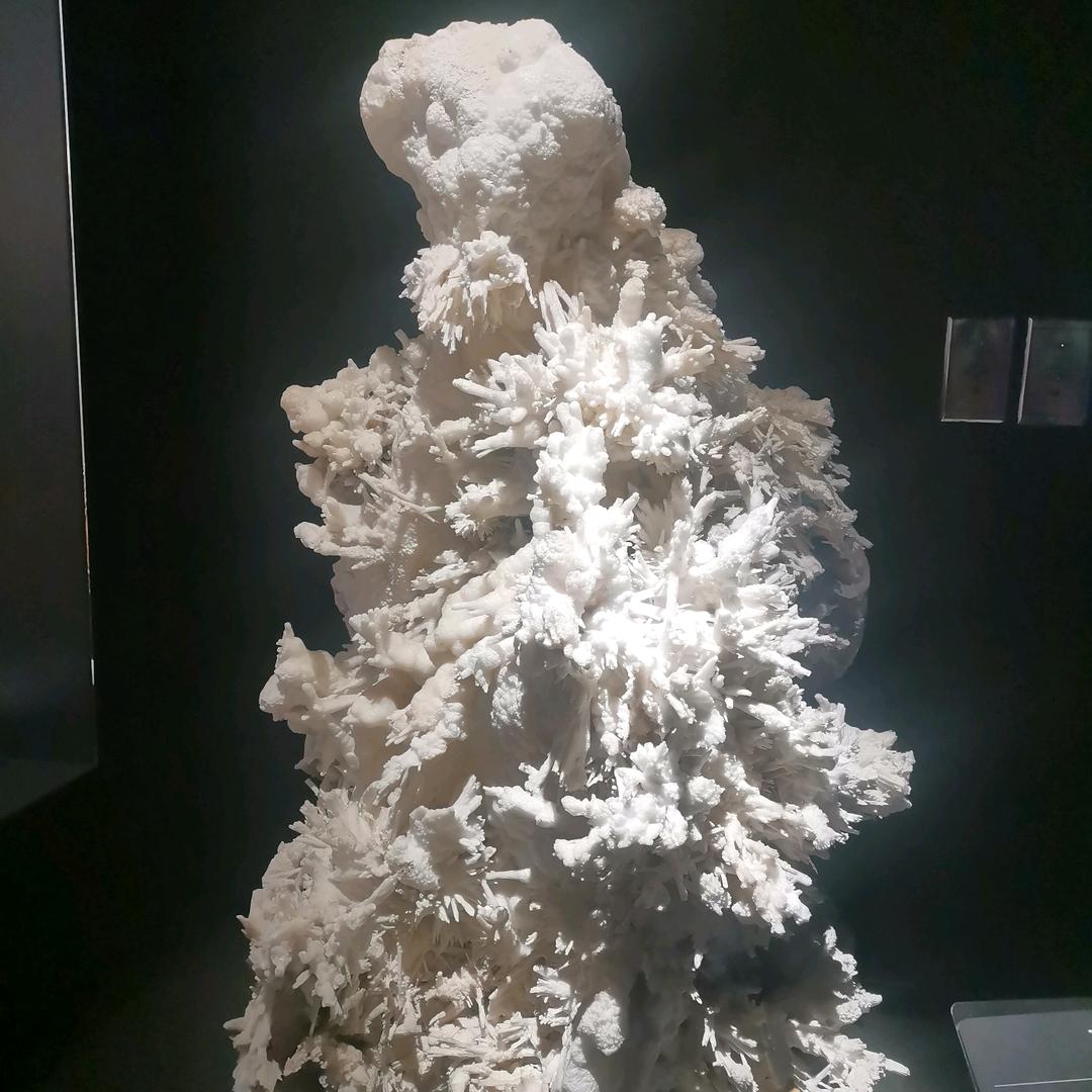 洲游汲