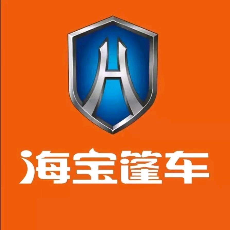 海宝新能源(大张楼镇店)专用号