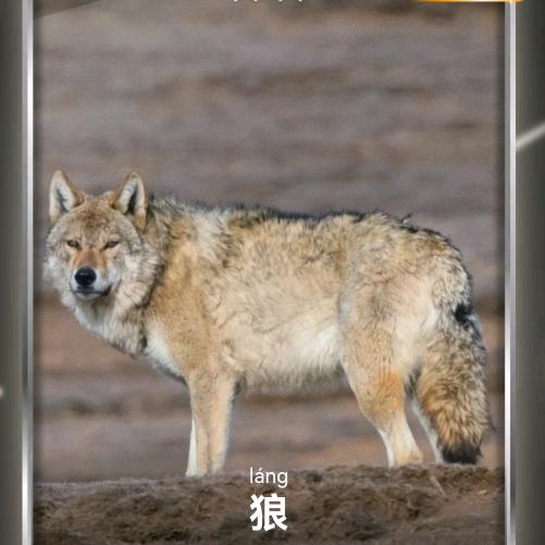 买买买⁵¹⁷⁶