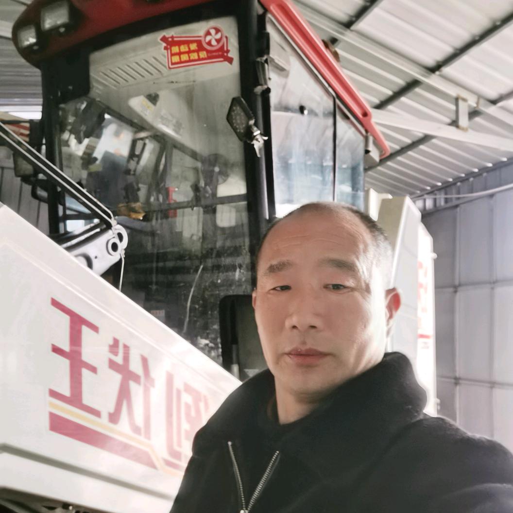 五哥跨区作业收割机