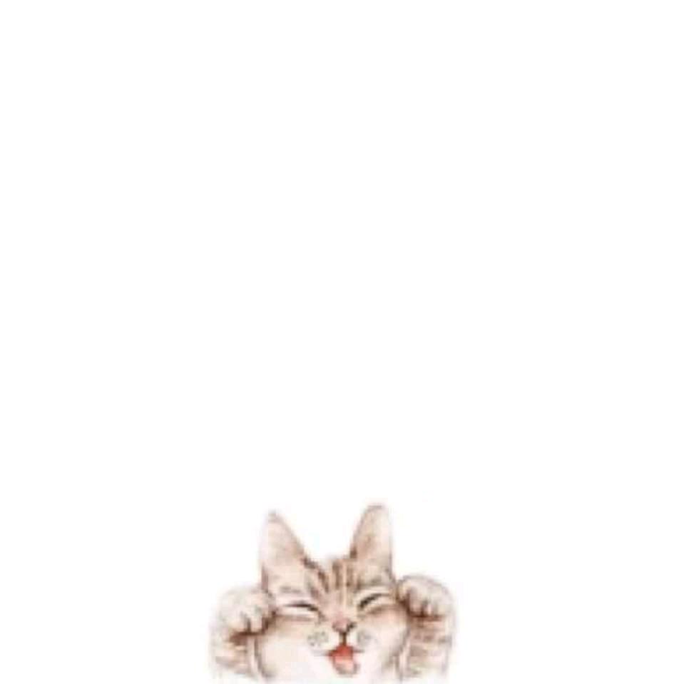 晨星造型 HairSalon