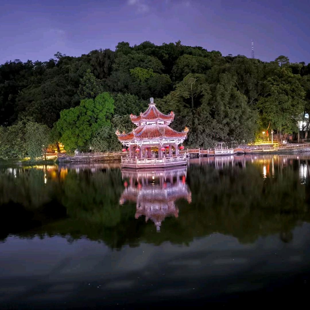 世界的美