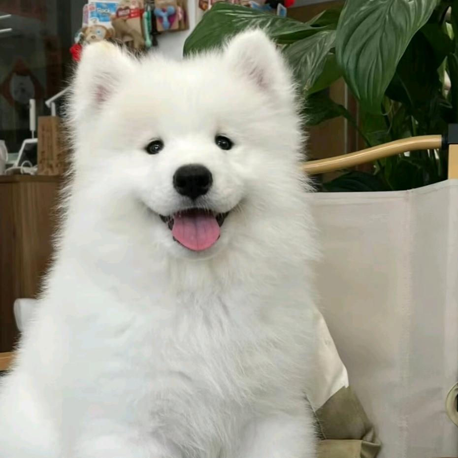 失联.