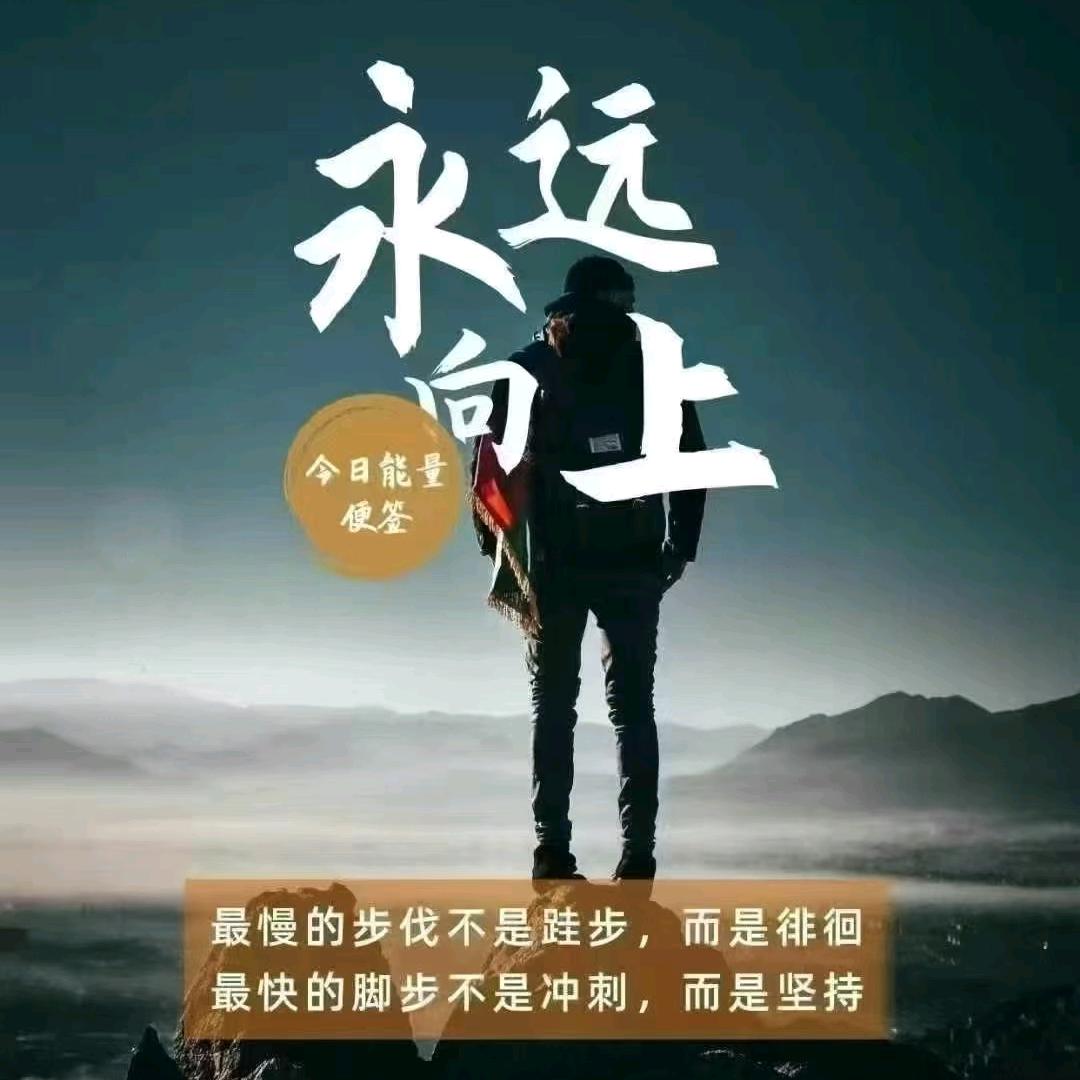 金晨极速版