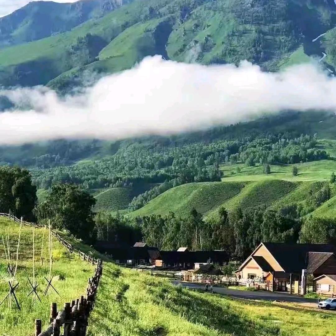 木子丶（峰）