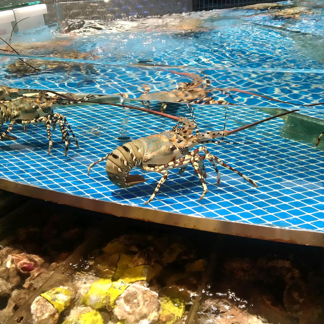 蓝色保温杯