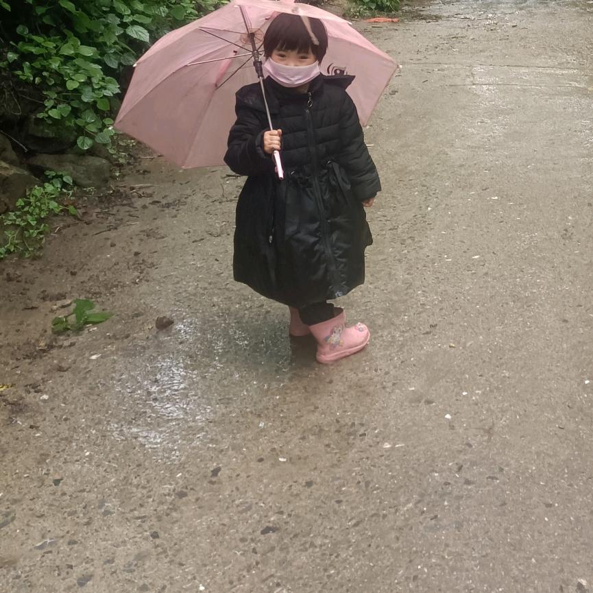 伤透的心