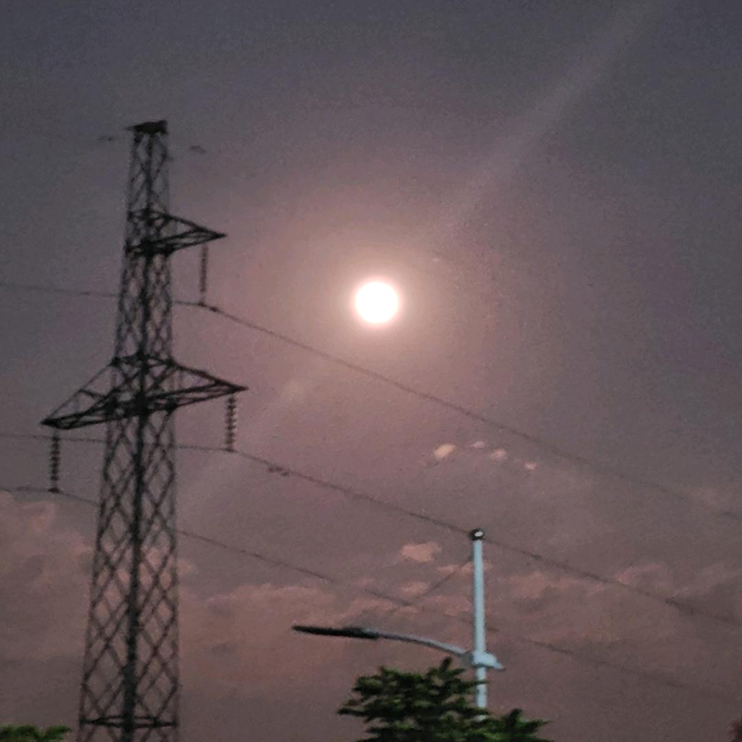 新酒浇仁