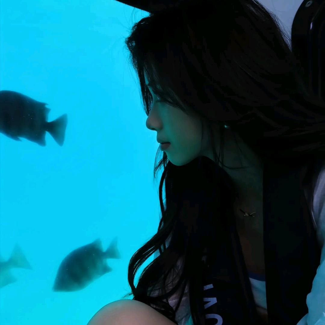 🐬🌺